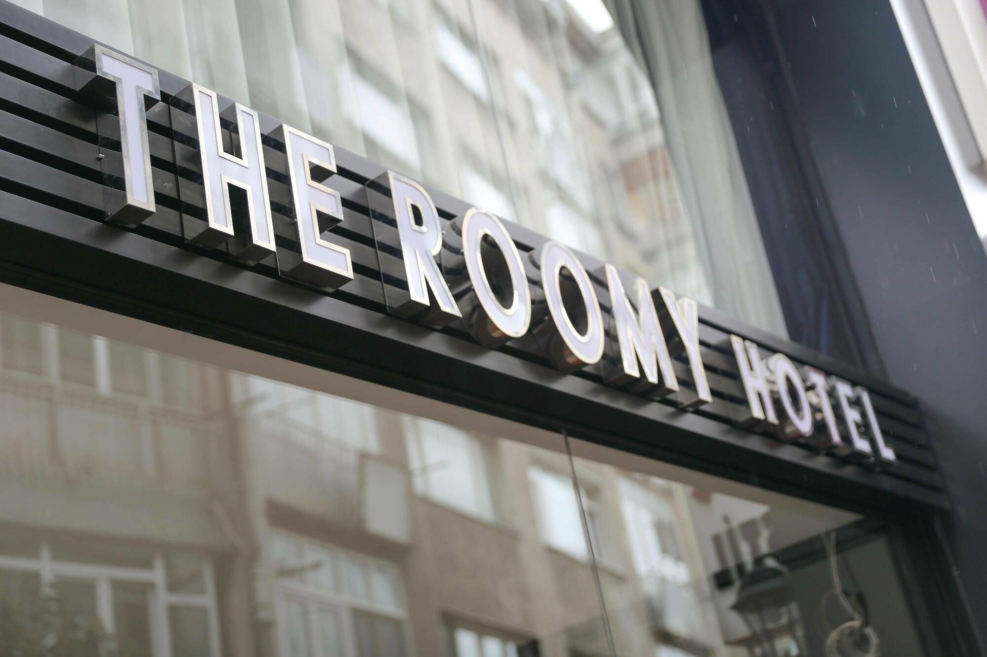 The Roomy Sisli 2* Istanboel